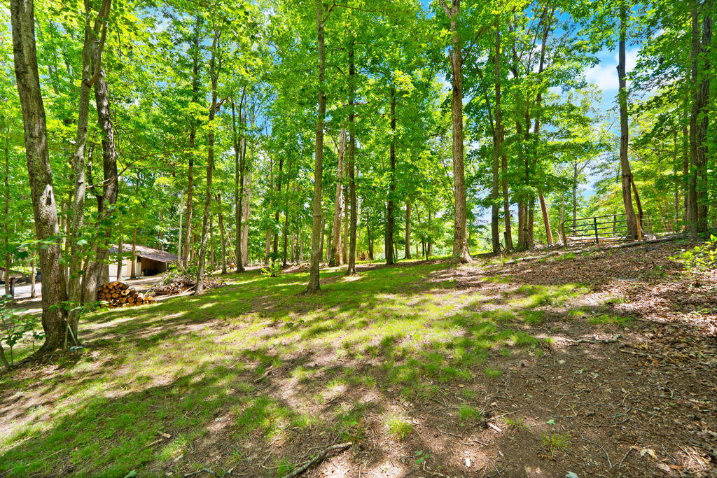 1261 Clark Road Irvine, KY 40336 - Photo 24 of 88 IMG_1734