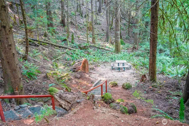 a view of yard with green space