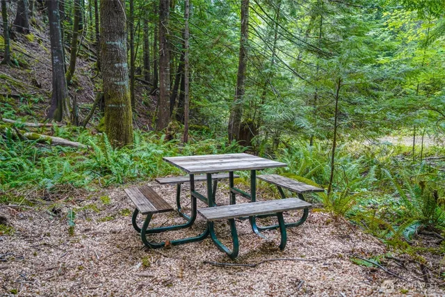 a plant with lots of plants and flowers