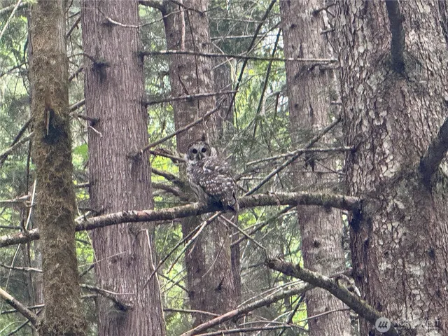 a picture of city view