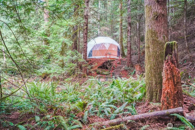 a backyard of a house with lots of green space