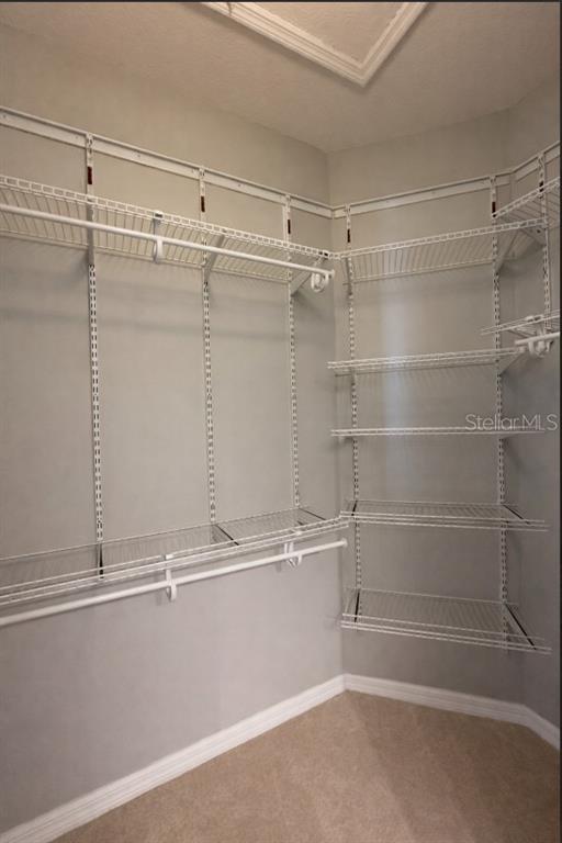 8913 Moonlit Meadows Loop Riverview, FL 33578 - Photo 11 of 17