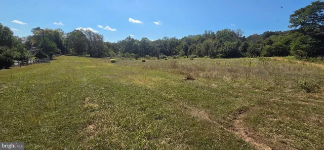 a view of a field with trees in the background