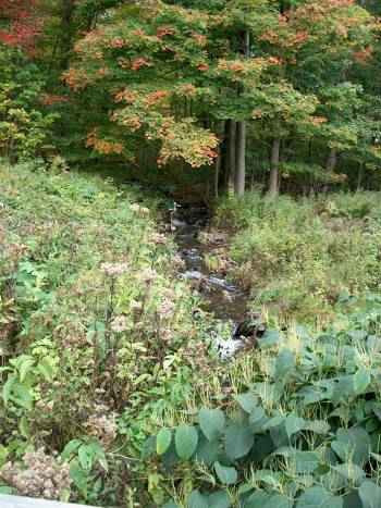 0 Hemlock Ridge Middleburgh, NY 12122 - Photo 4 of 7 Photo 4
