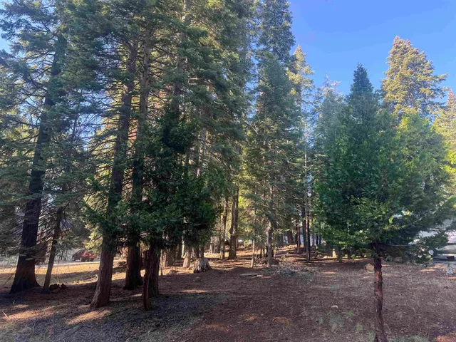 a view of road with trees