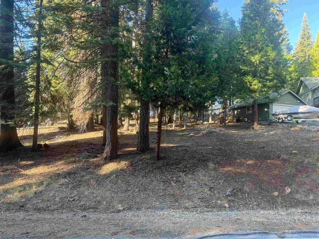 a view of road with trees