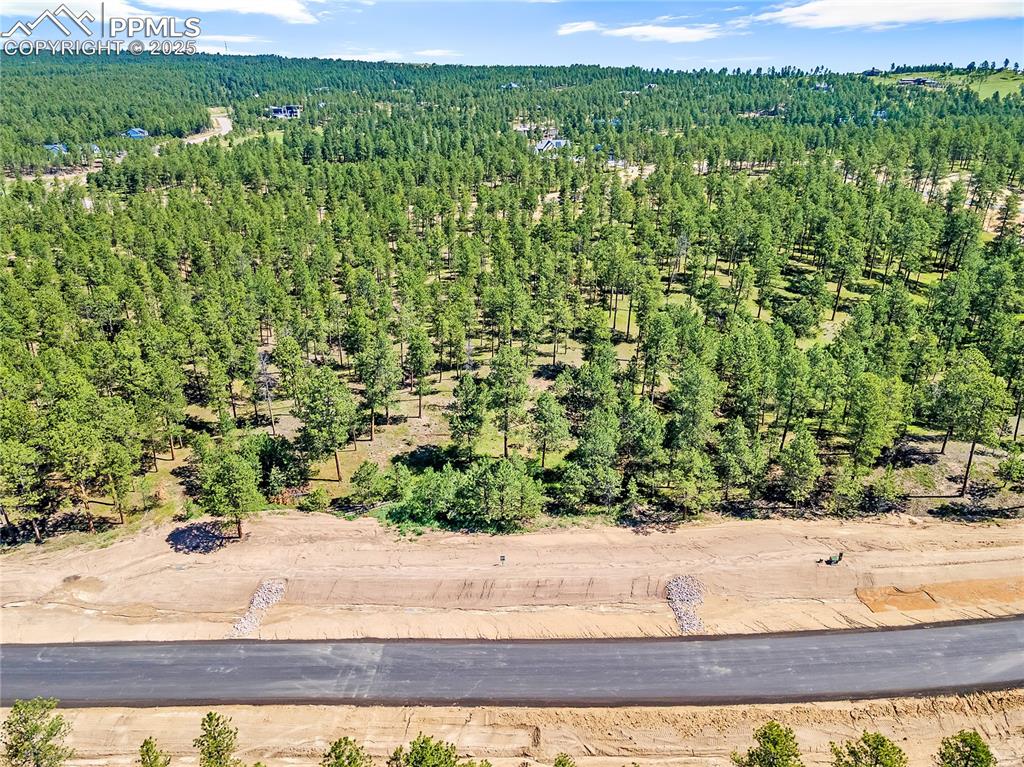 14310 Allen Ranch Road Colorado Springs, CO 80908 - Photo 2 of 8 a view of a garden with an outdoor space