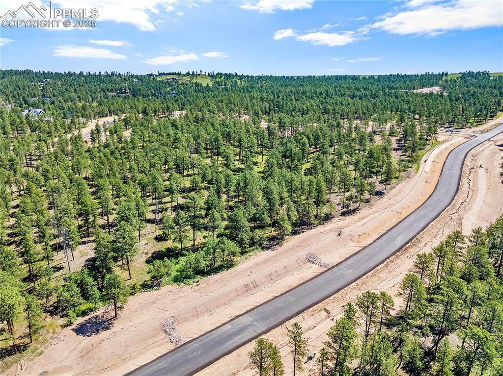 14310 Allen Ranch Road Colorado Springs, CO 80908 - Photo 3 of 8 a view of a city street