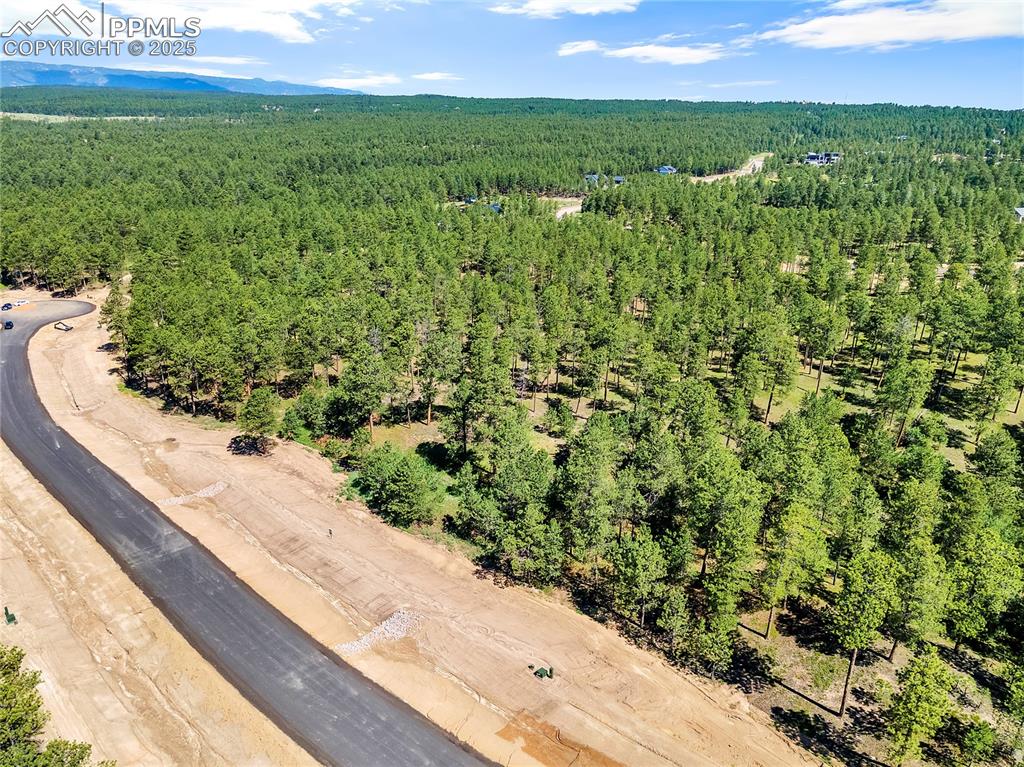 14310 Allen Ranch Road Colorado Springs, CO 80908 - Photo 4 of 8 a view of a garden with a building