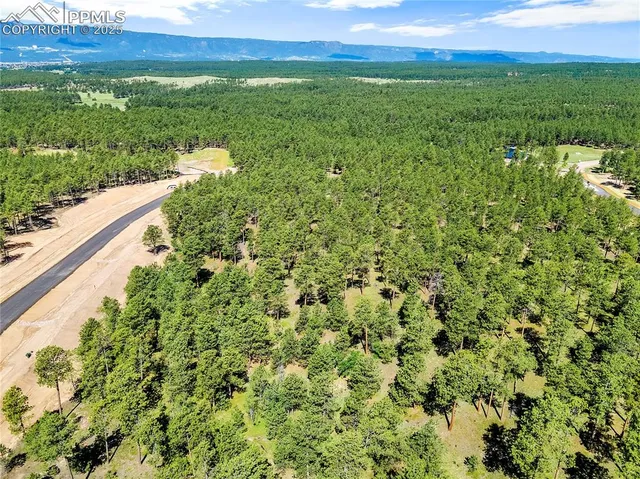 a view of an outdoor space and a yard