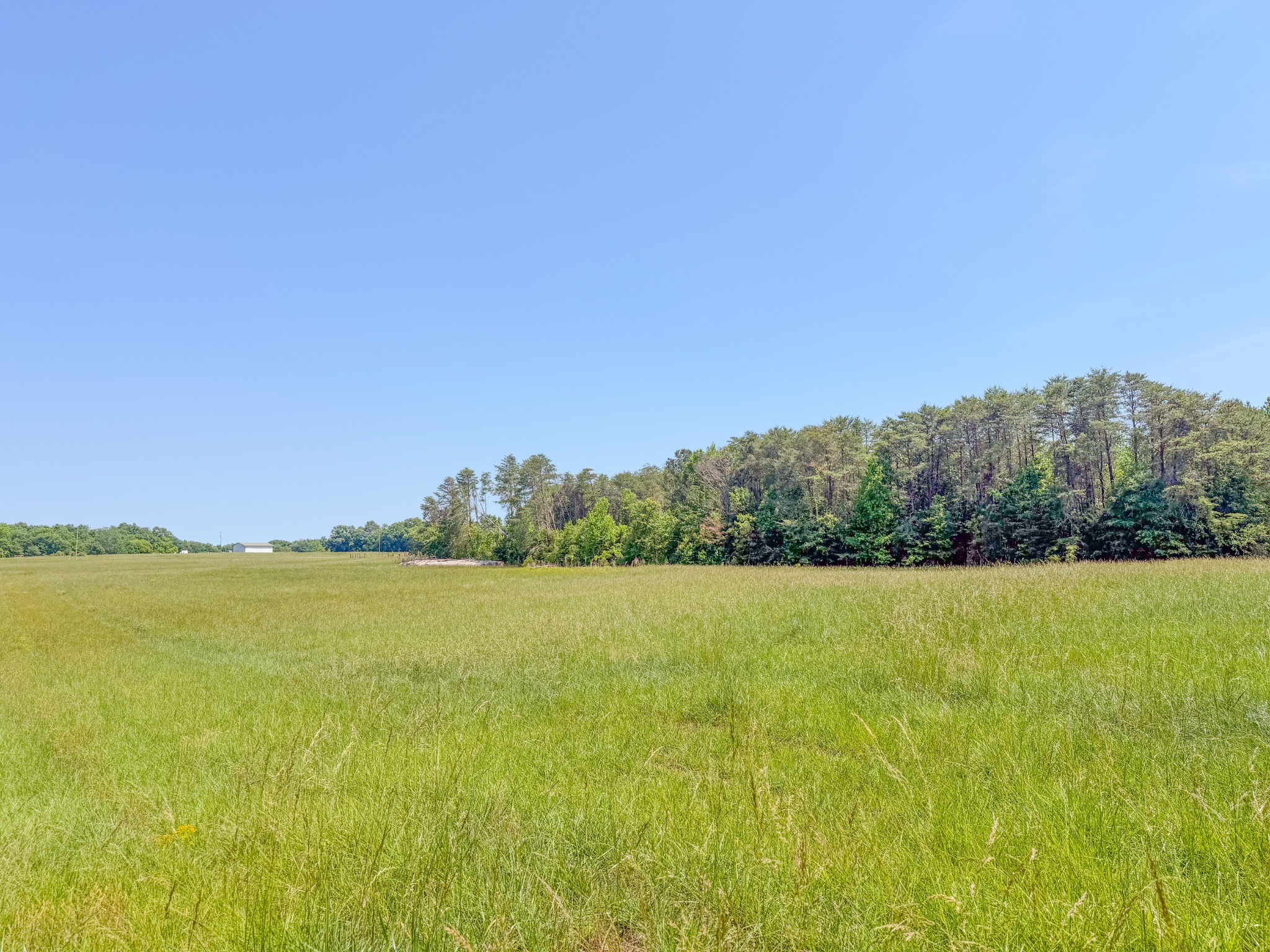 3800 Salem Road Minor Hill, TN 38473 - Photo 46 of 53
