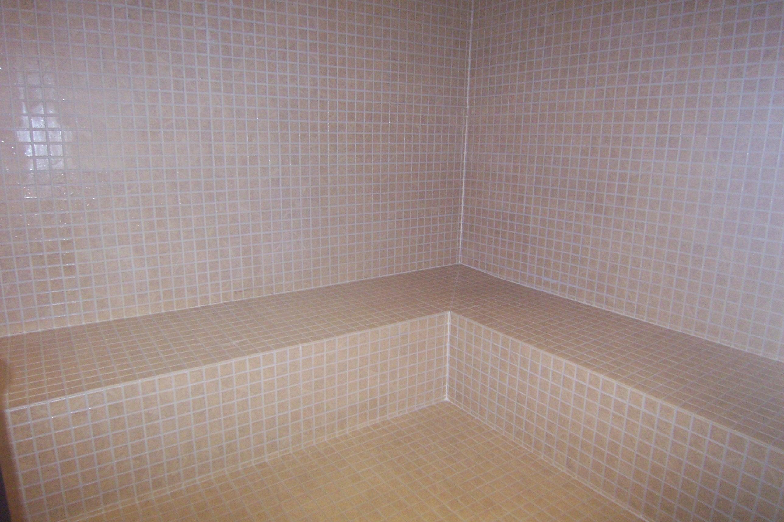 166 Pineberry East Road Oak Ridge, TN 37830 - Photo 14 of 20 45 Steam Room