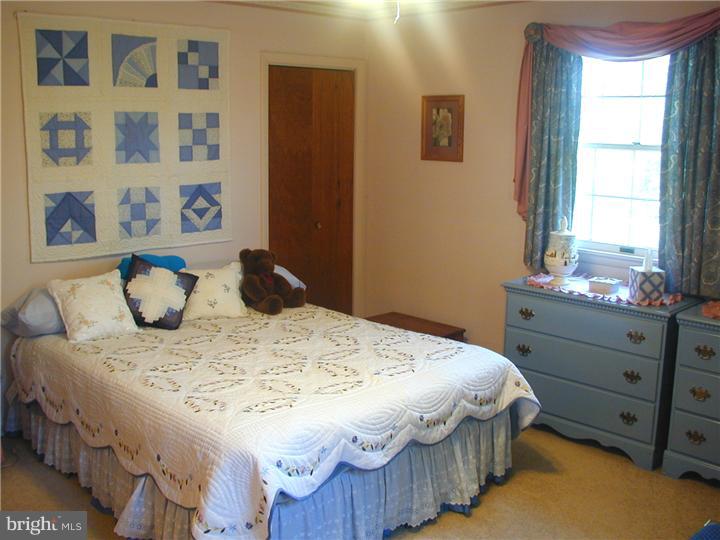 465 Godshall Road Souderton, PA 18964 - Photo 13 of 19 Master Bedroom