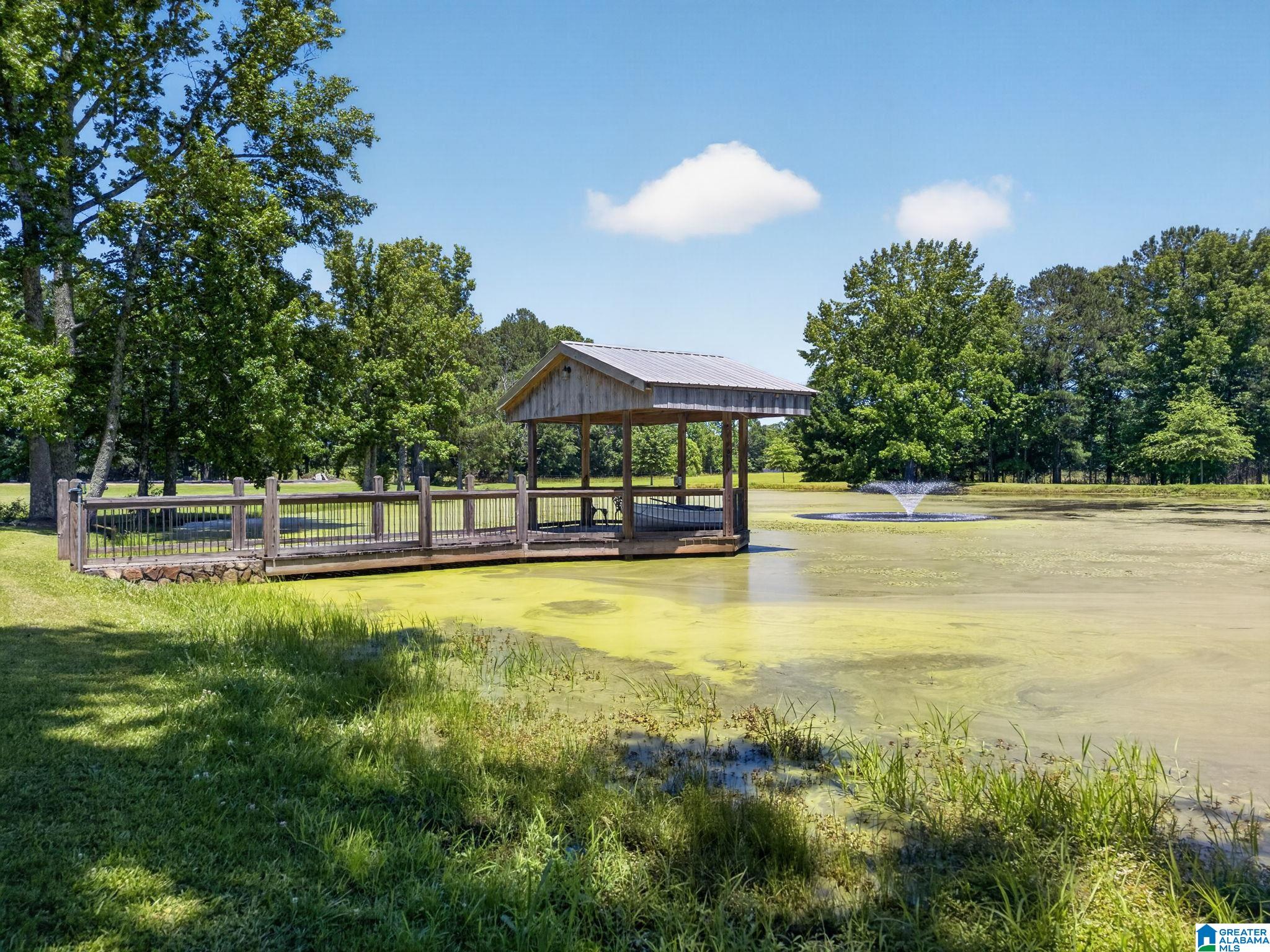 3463 County Road 3 Delta, AL 36258 - Photo 89 of 100