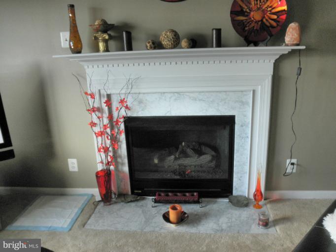 8108 Jacobs Field Road Rosedale, MD 21237 - Photo 26 of 26 Gas fireplace