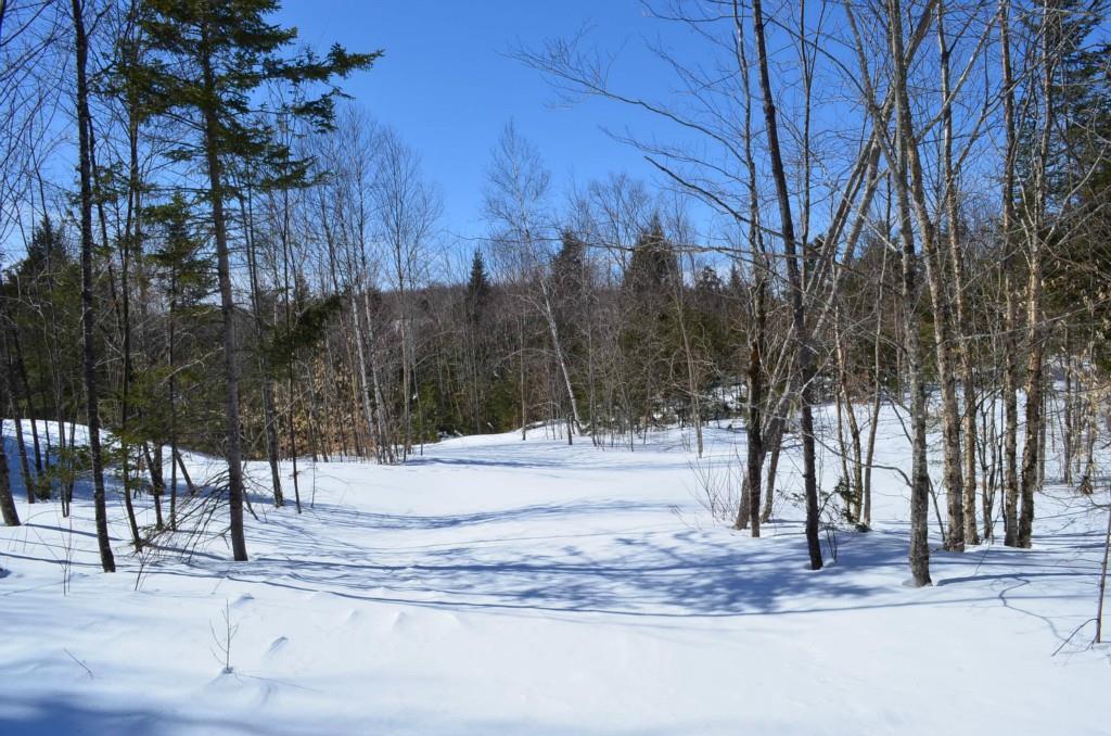 96 Freedom Way Springfield, ME 04487 - Photo 8 of 15 Photo