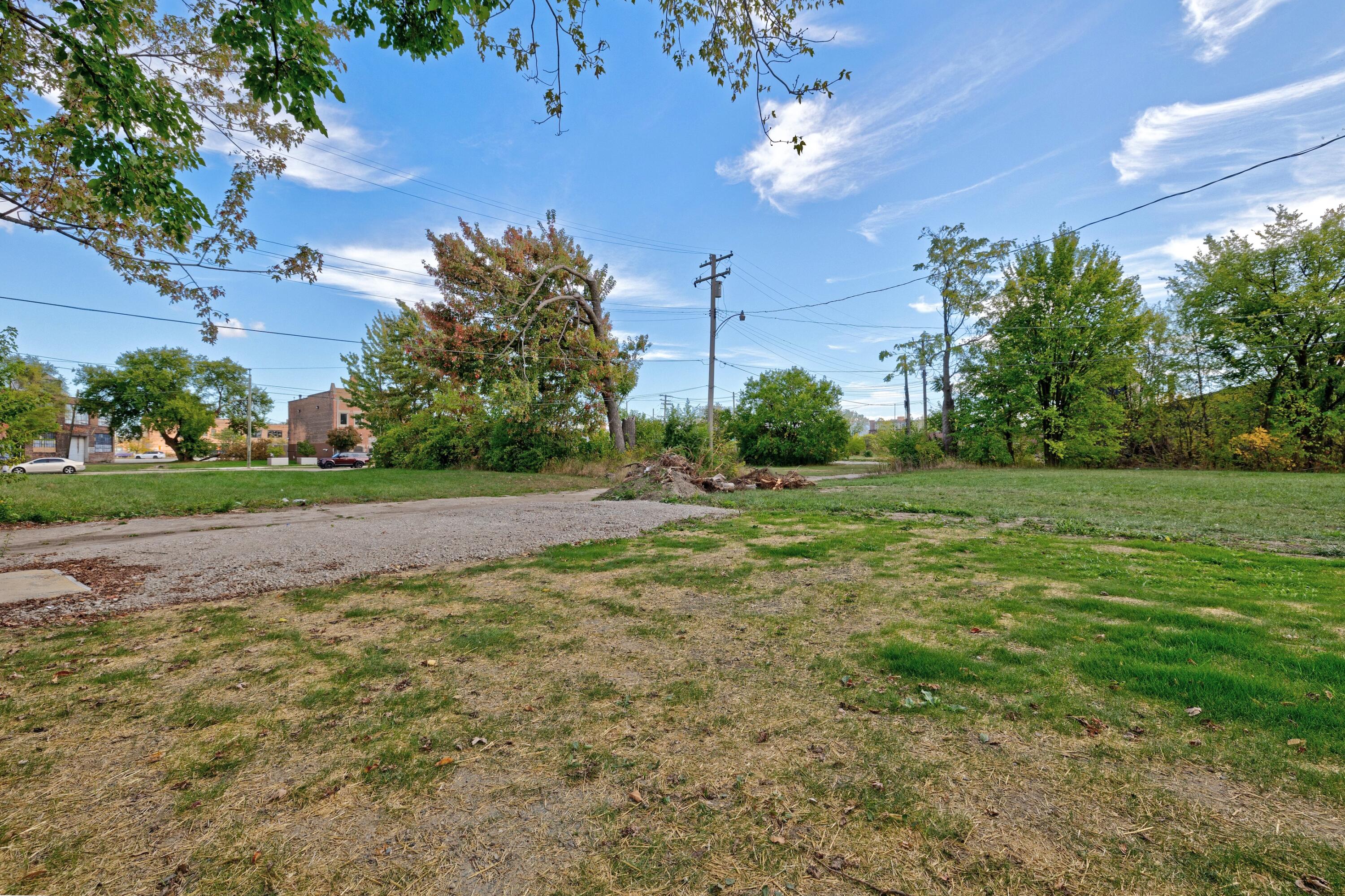6142 Commonwealth Street Detroit, MI 48208 - Photo 46 of 48 39) Backyard