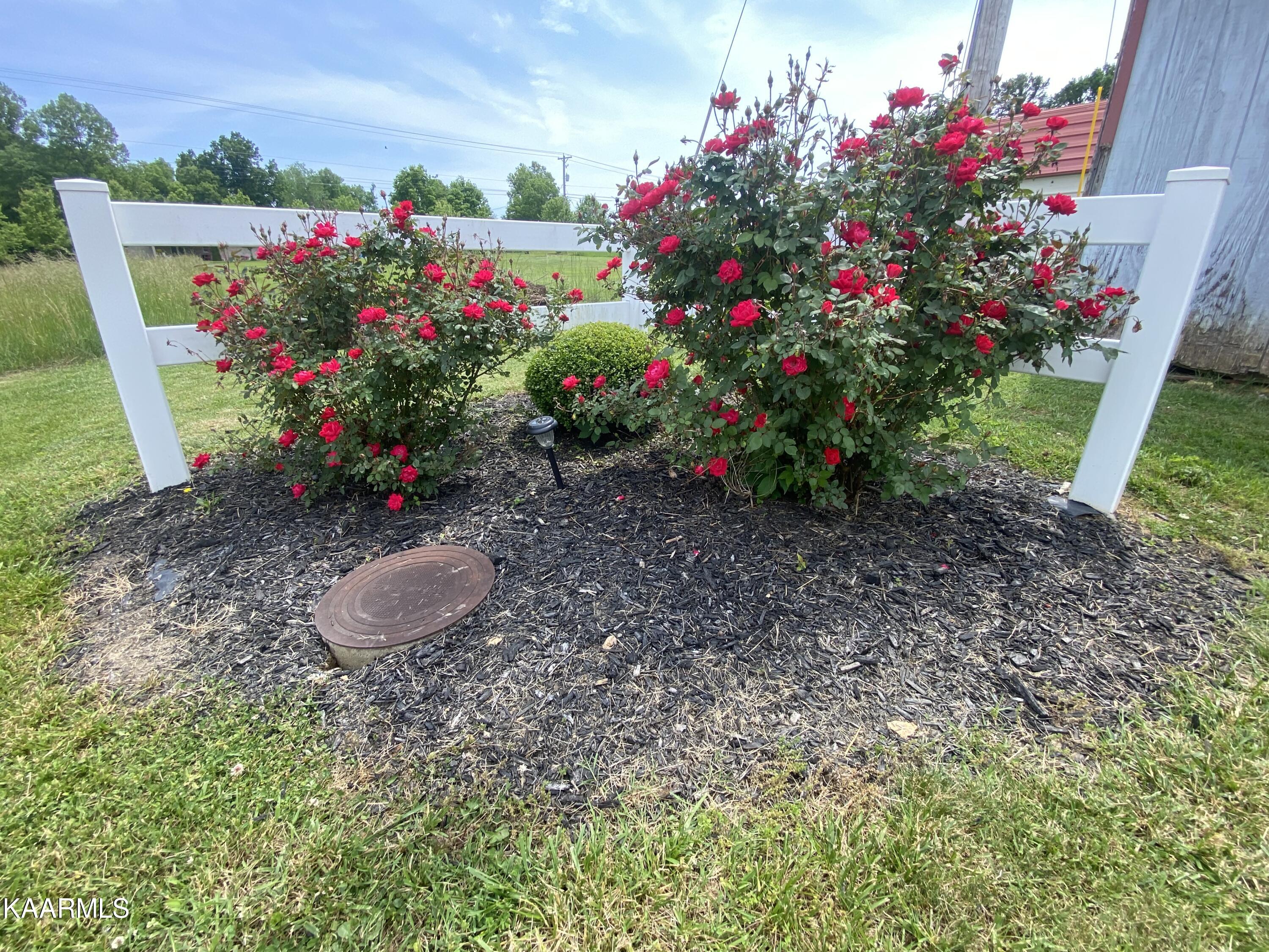 6002 Wilderness Road Ewing, VA 24248 - Photo 8 of 22 landscaping