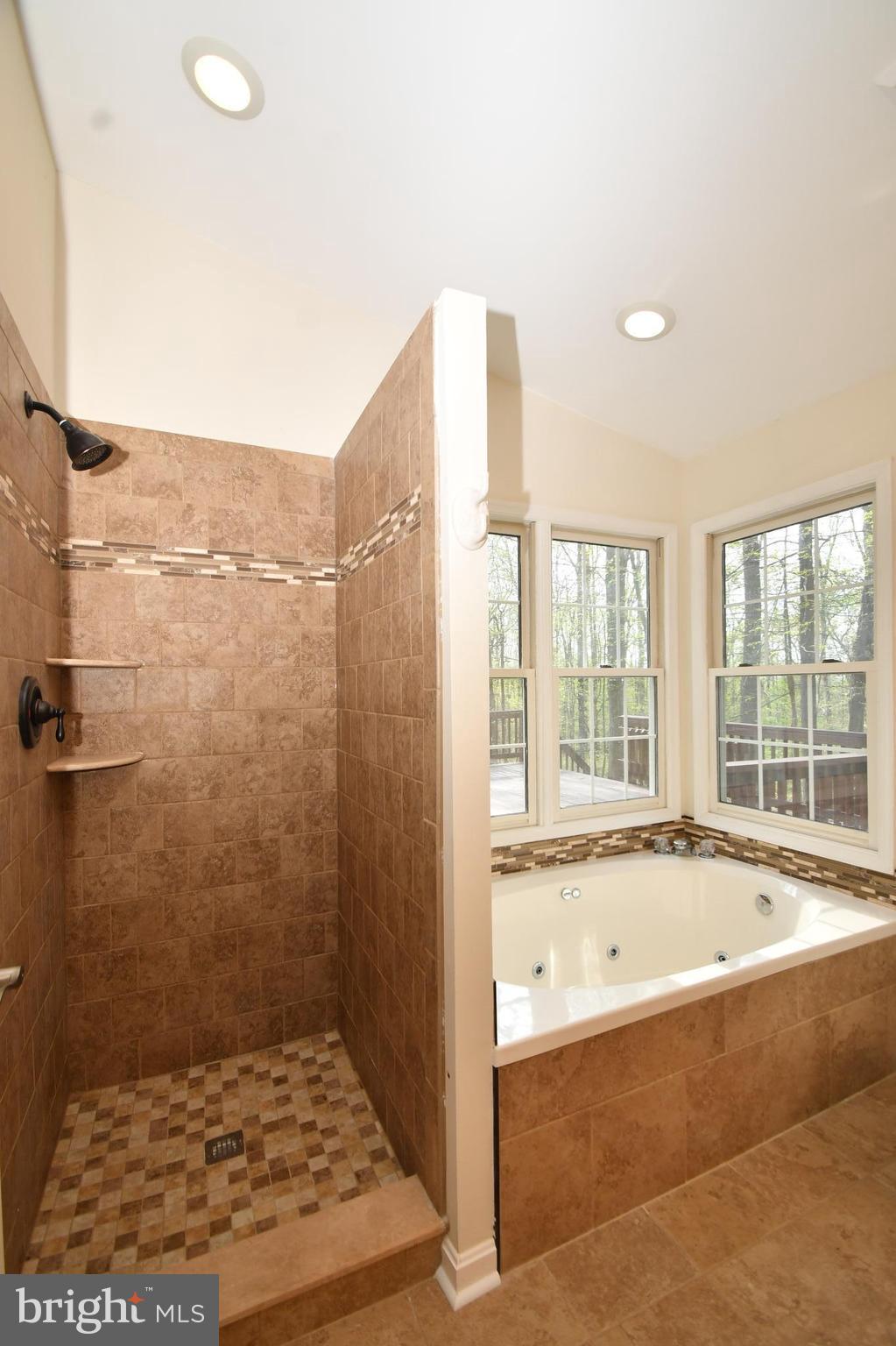 2644 Dublin Road Street, MD 21154 - Photo 25 of 30 Bath (Master)