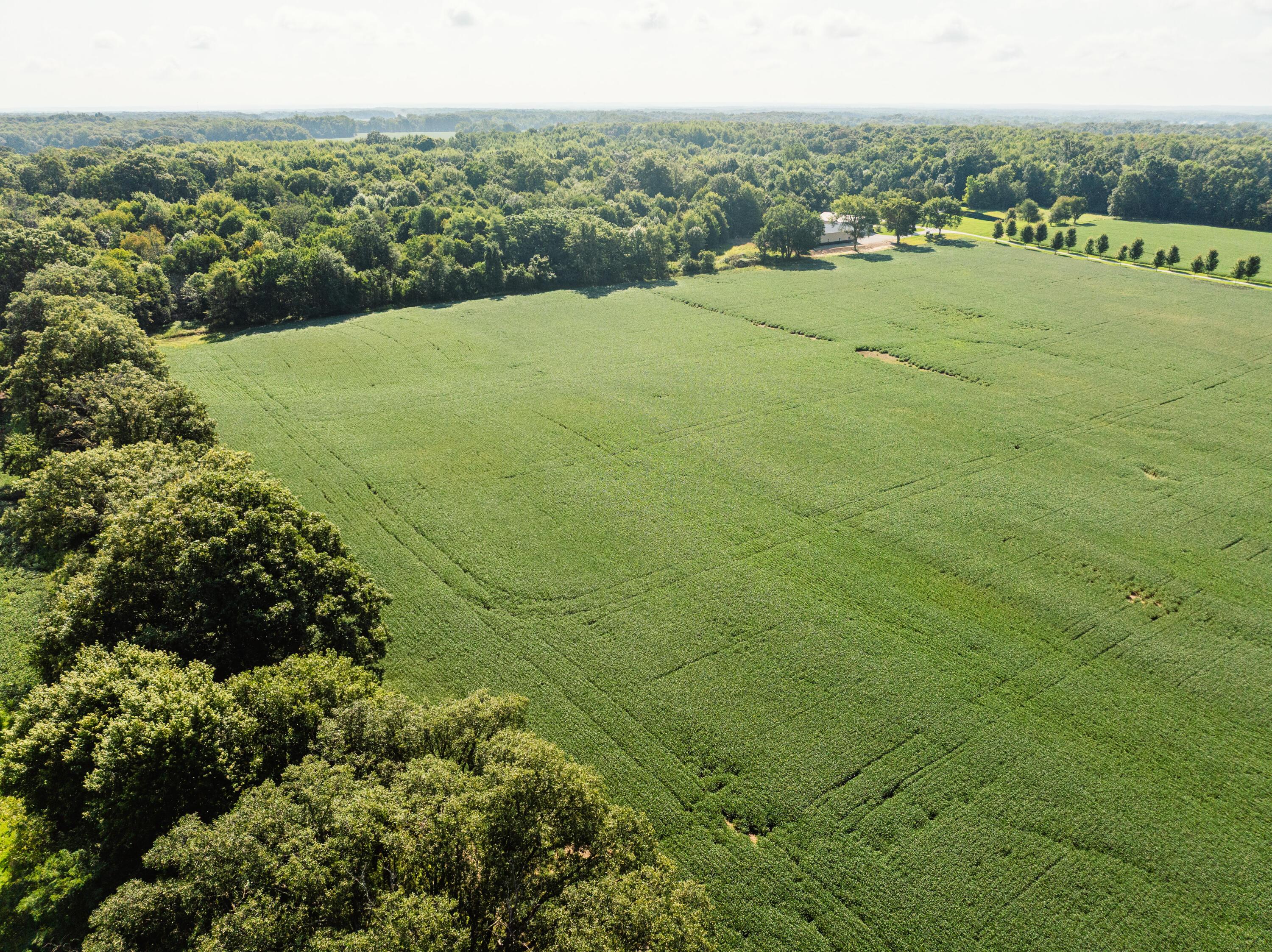 0 Sycamore Road Centerburg, OH 43011 - Photo 68 of 69 DJI_20260827154716_0917_D