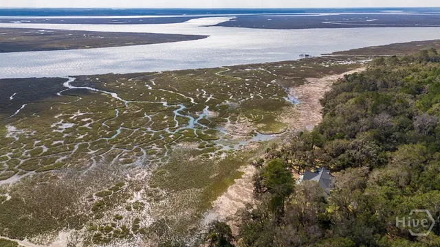 $765,000 | 497 Timmons View Drive, Midway, GA 31320