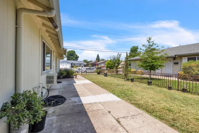 a view of a garden with potted plants