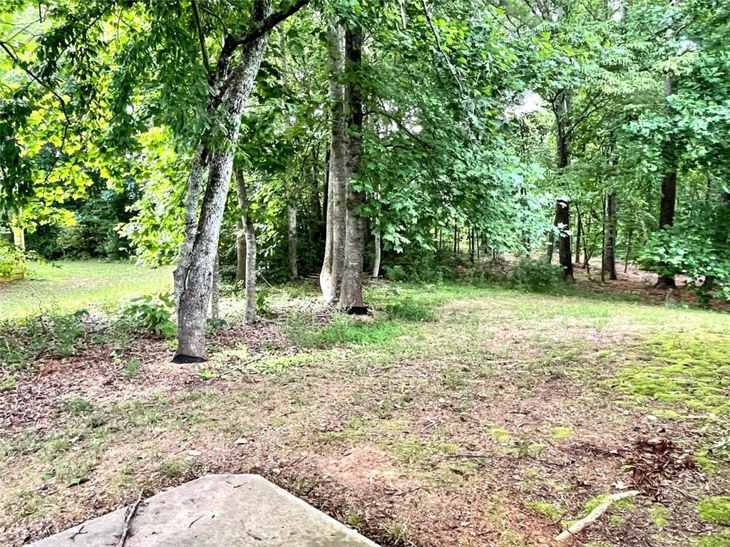 1505 Wedgefield Court Alpharetta, GA 30004 - Photo 58 of 61 a backyard of a house with lots of green space