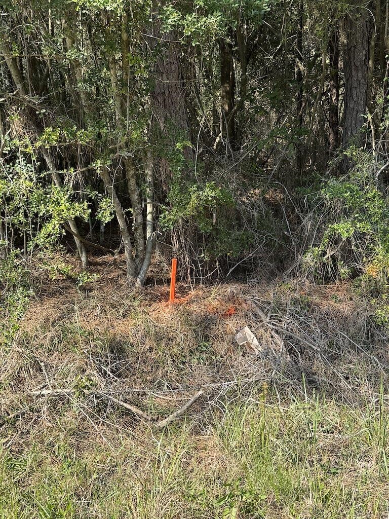 Five 5 Acre Tract Road Buna, TX 77612 - Photo 13 of 13