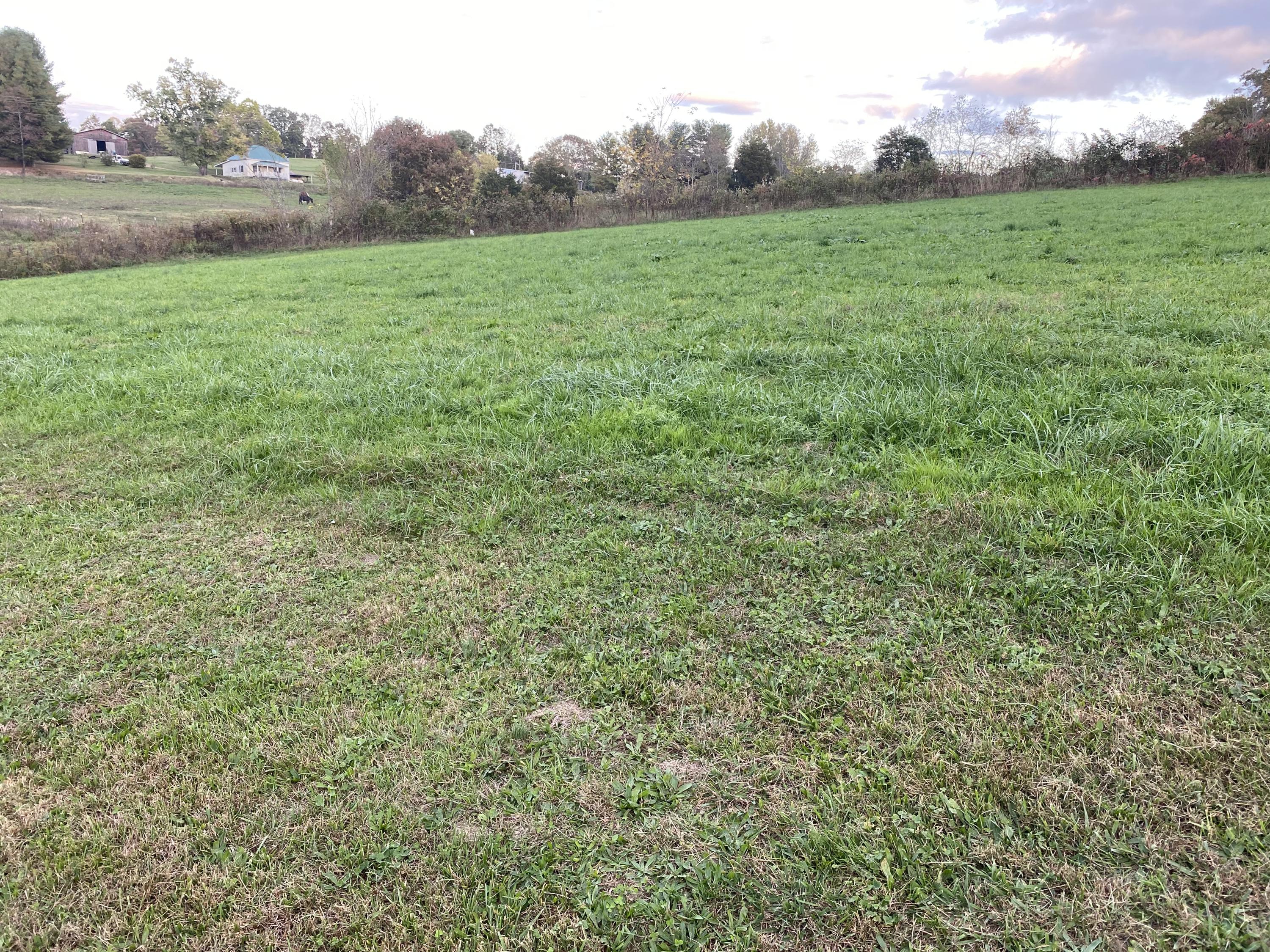 3906 Clear Springs Road Limestone, TN 37681 - Photo 18 of 19 47F70FD3-A714-46FB-83CB-85AA7F231D58