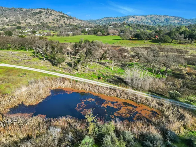 a view of yard with trees