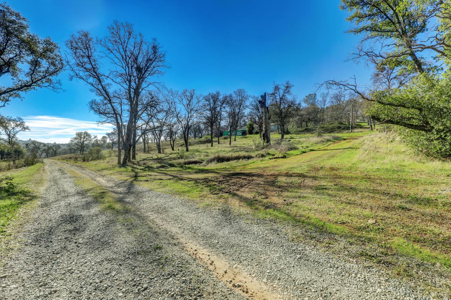 6718 Cross Star Trail Loma Rica, CA 95901 - Photo 28 of 54 a view of outdoor space with trees all around