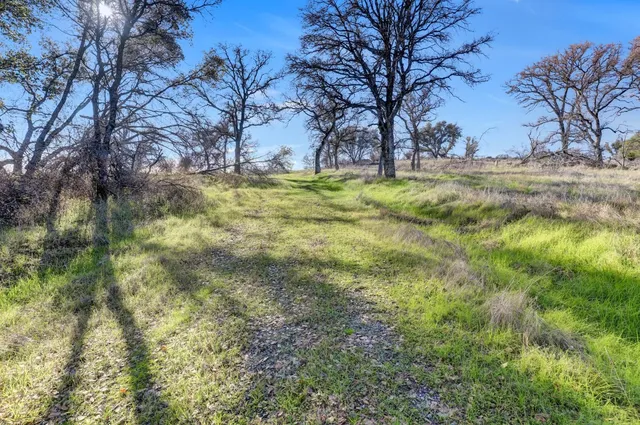 a view of a garden with an outdoor space
