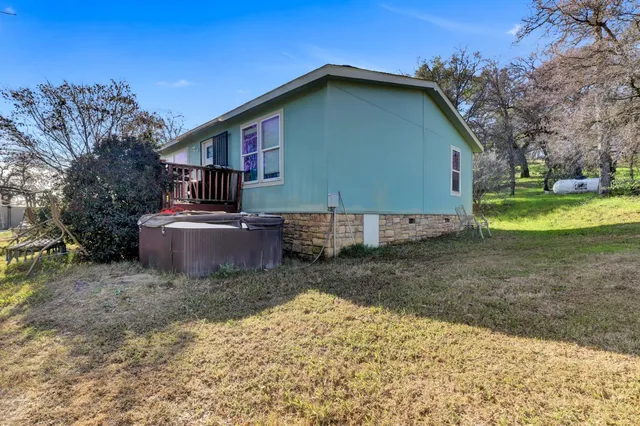 a lush green field with lots of bushes