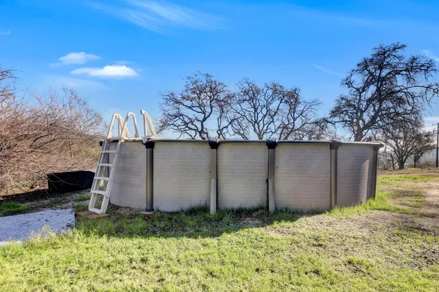 a bird view of a tree