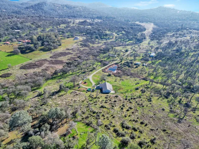 a view of yard with trees