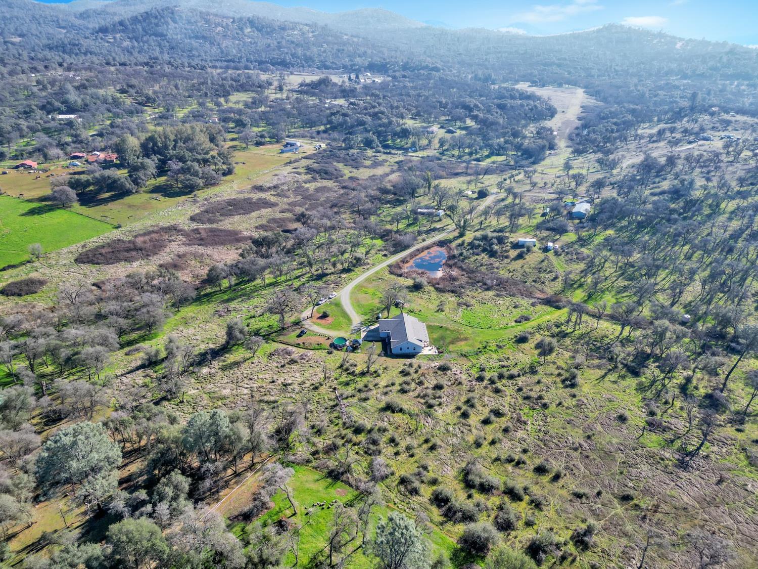 6718 Cross Star Trail Loma Rica, CA 95901 - Photo 42 of 54 a view of a yard with plants and large trees