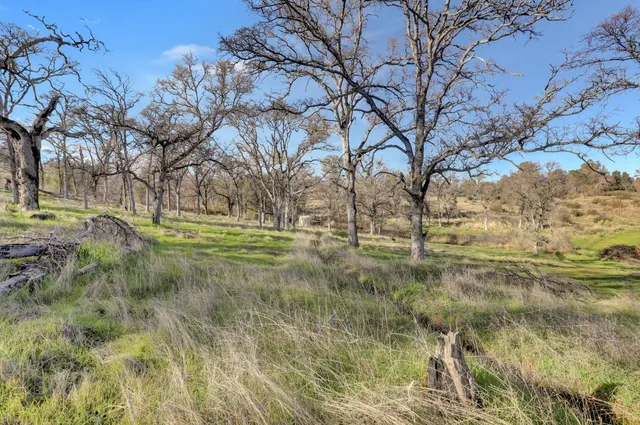a view of a golf course