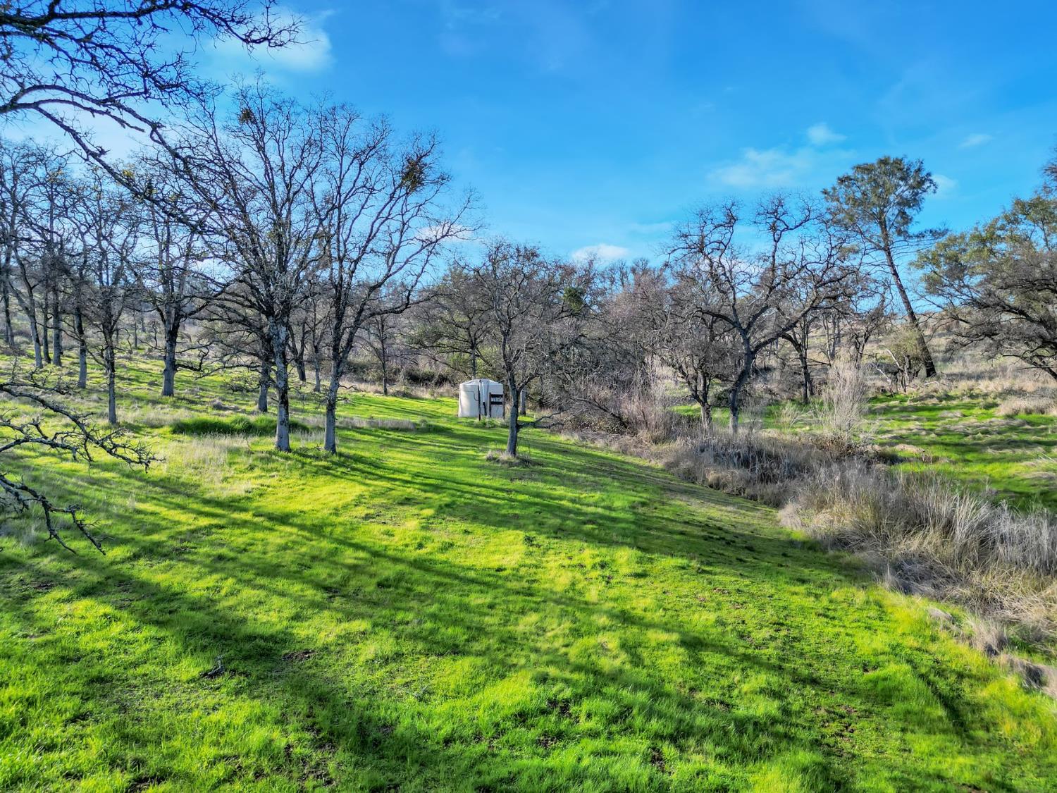6718 Cross Star Trail Loma Rica, CA 95901 - Photo 49 of 54 a view of a golf course