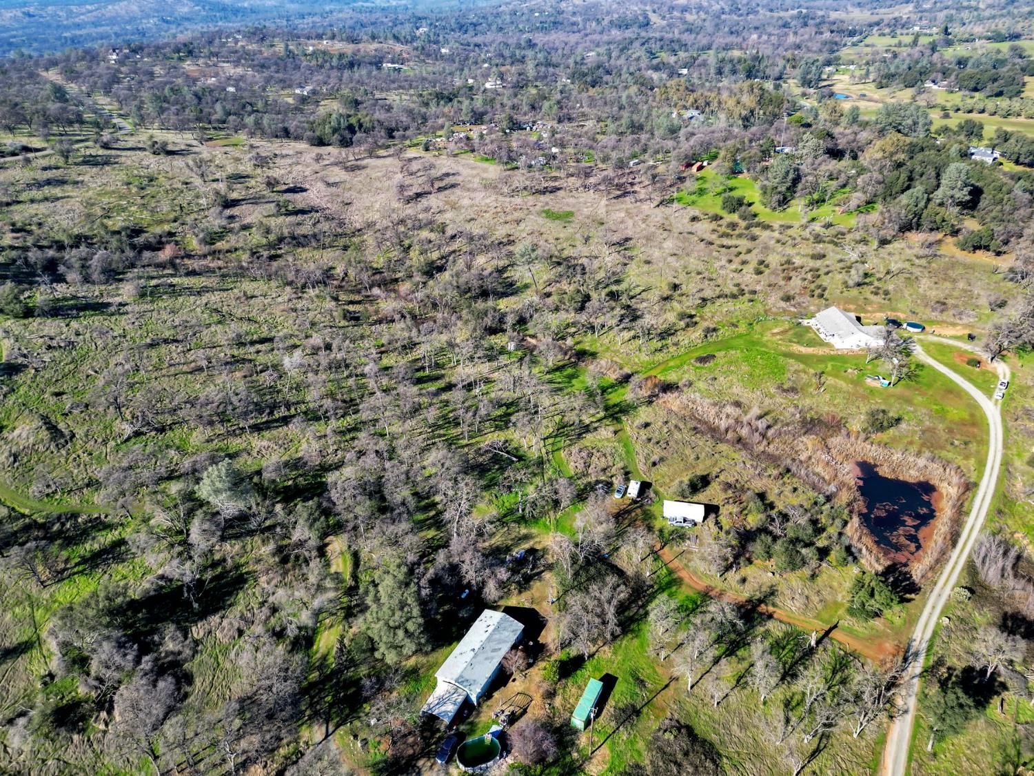 6718 Cross Star Trail Loma Rica, CA 95901 - Photo 53 of 54 a view of a yard with a tree