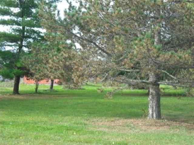 7062 Black River Road Croswell, MI 48422 - Photo 3 of 3 31078097-2.JPG