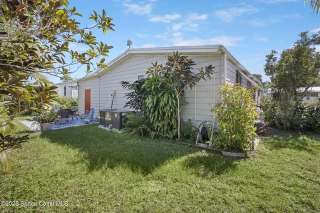 a view of a backyard with plants and a large tree