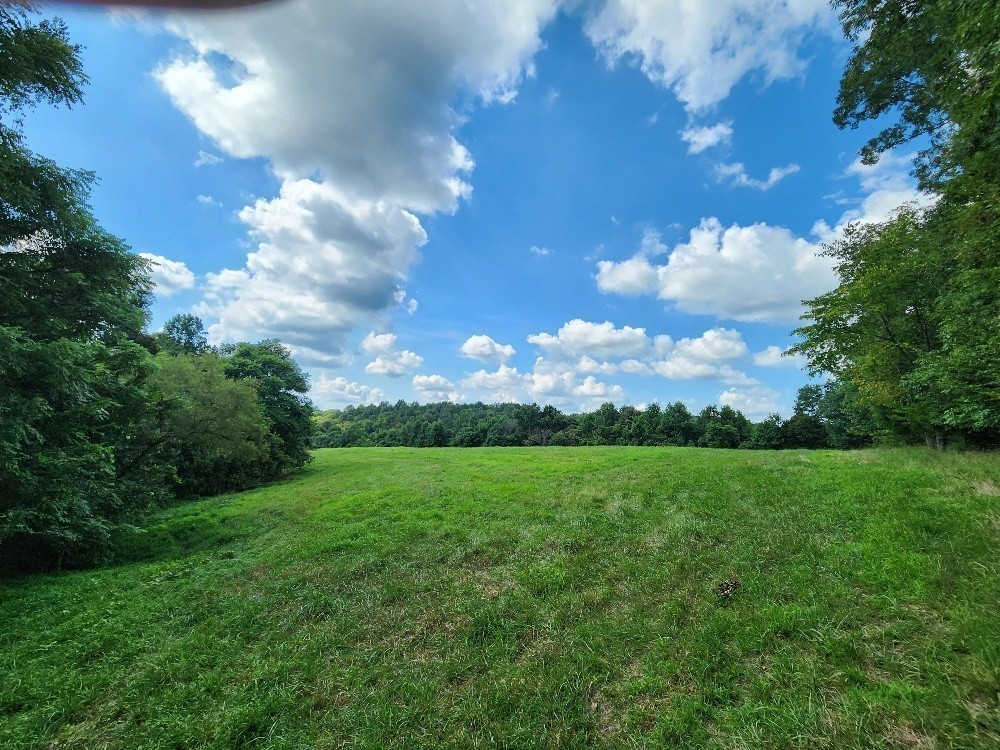 0 Taurus Farm Road Lafayette, TN 37083 - Photo 37 of 67 Gallery Image 37