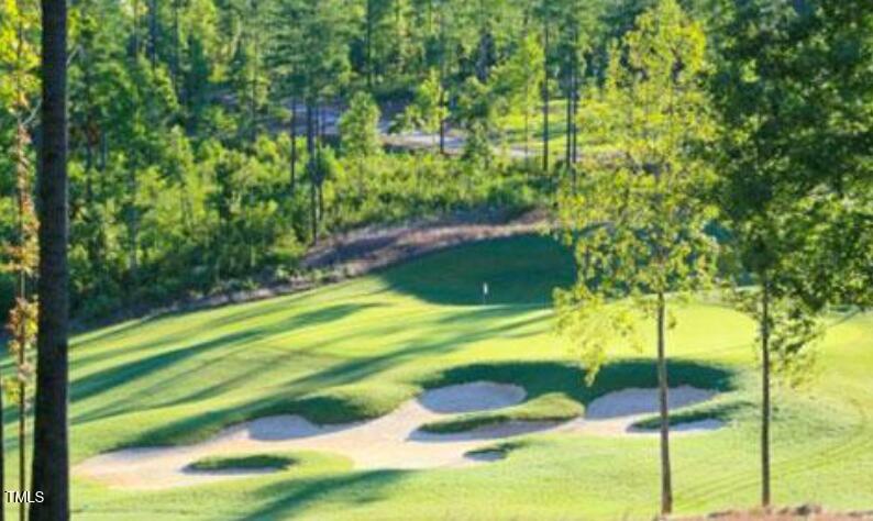 216 Colonial Ridge Drive Pittsboro, NC 27312 - Photo 61 of 67 golf2 cre