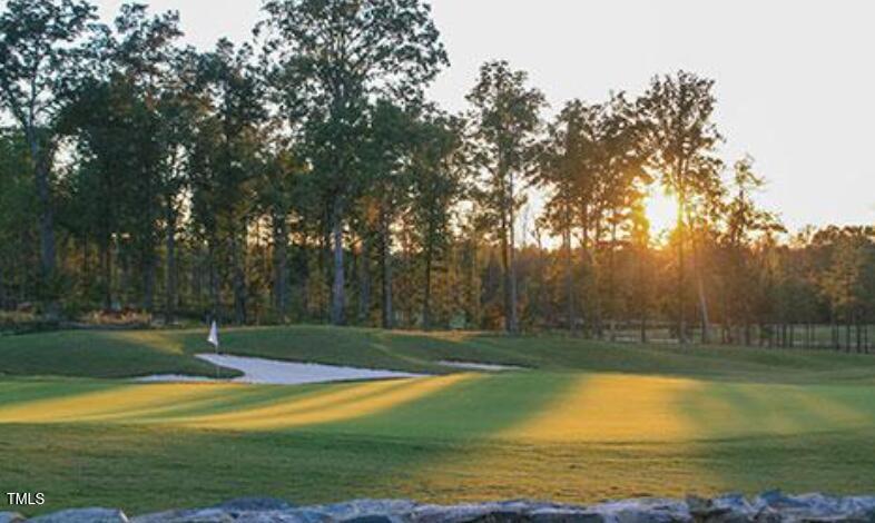 216 Colonial Ridge Drive Pittsboro, NC 27312 - Photo 62 of 67 golf cre