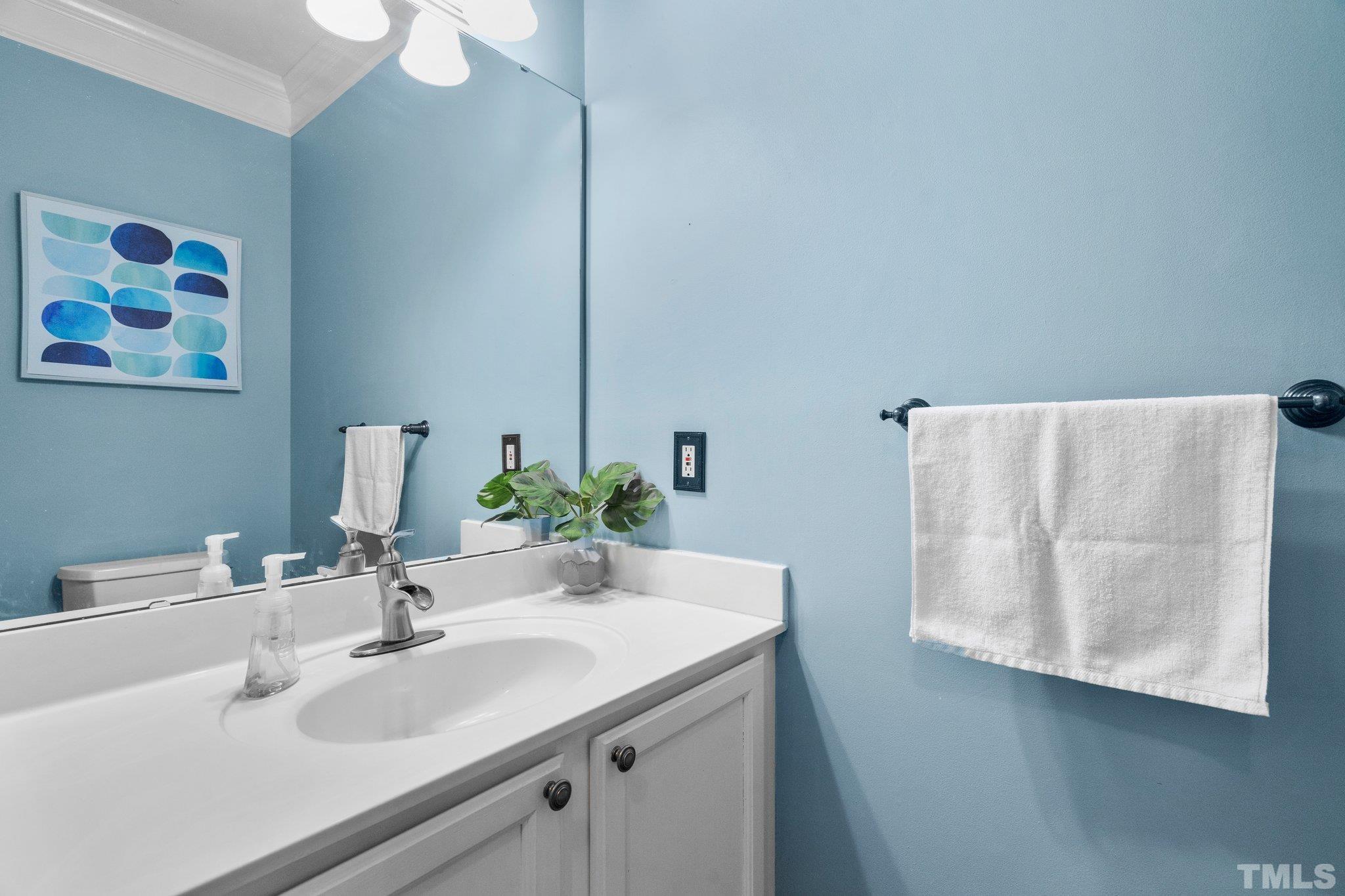 102 Sequoia Court Cary, NC 27513 - Photo 23 of 36 a bathroom with a sink and a mirror