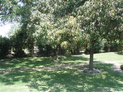 281 South Callison Road Tipton, CA 93272 - Photo 14 of 15 Gallery Image 14