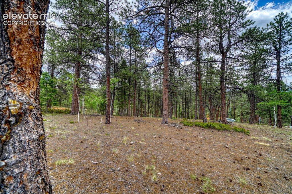 2927 Pathfinder Road Florissant, CO 80816 - Photo 33 of 37