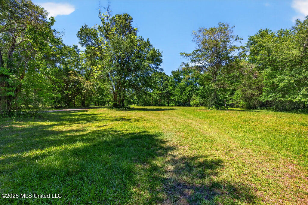 12204 Oneal Road Gulfport, MS 39503 - Photo 11 of 20 O'Neal Road Acreage