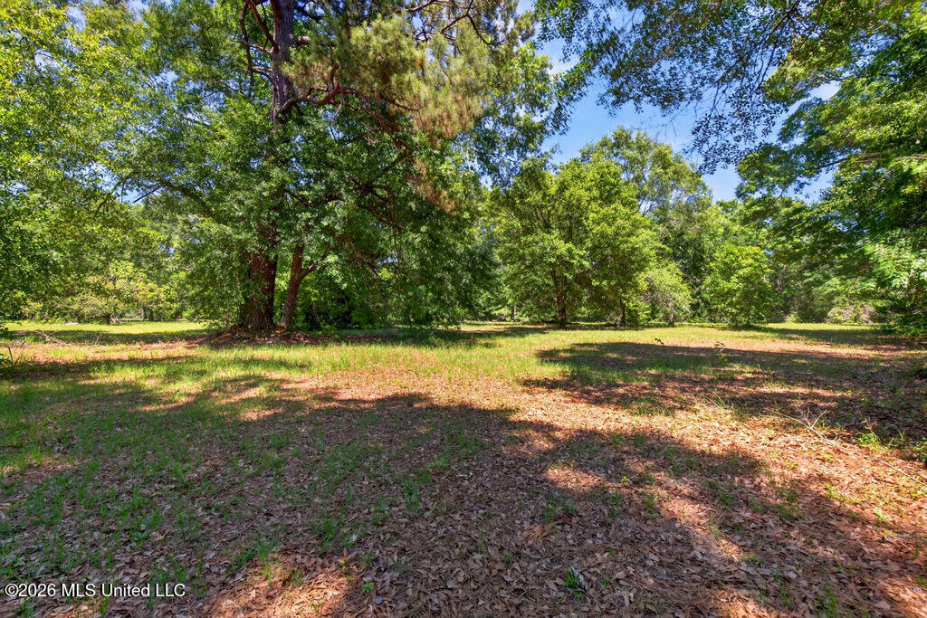 12204 Oneal Road Gulfport, MS 39503 - Photo 4 of 20 O'Neal Acreage
