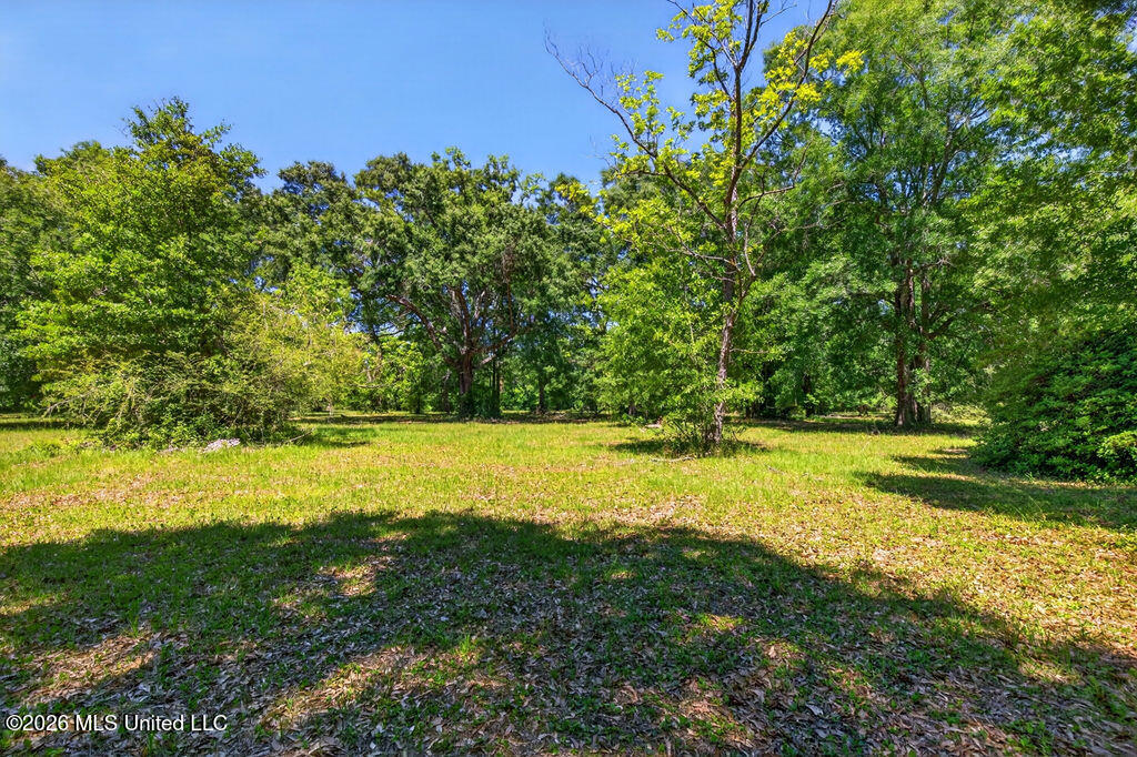 12204 Oneal Road Gulfport, MS 39503 - Photo 5 of 20 O'Neal Acreage